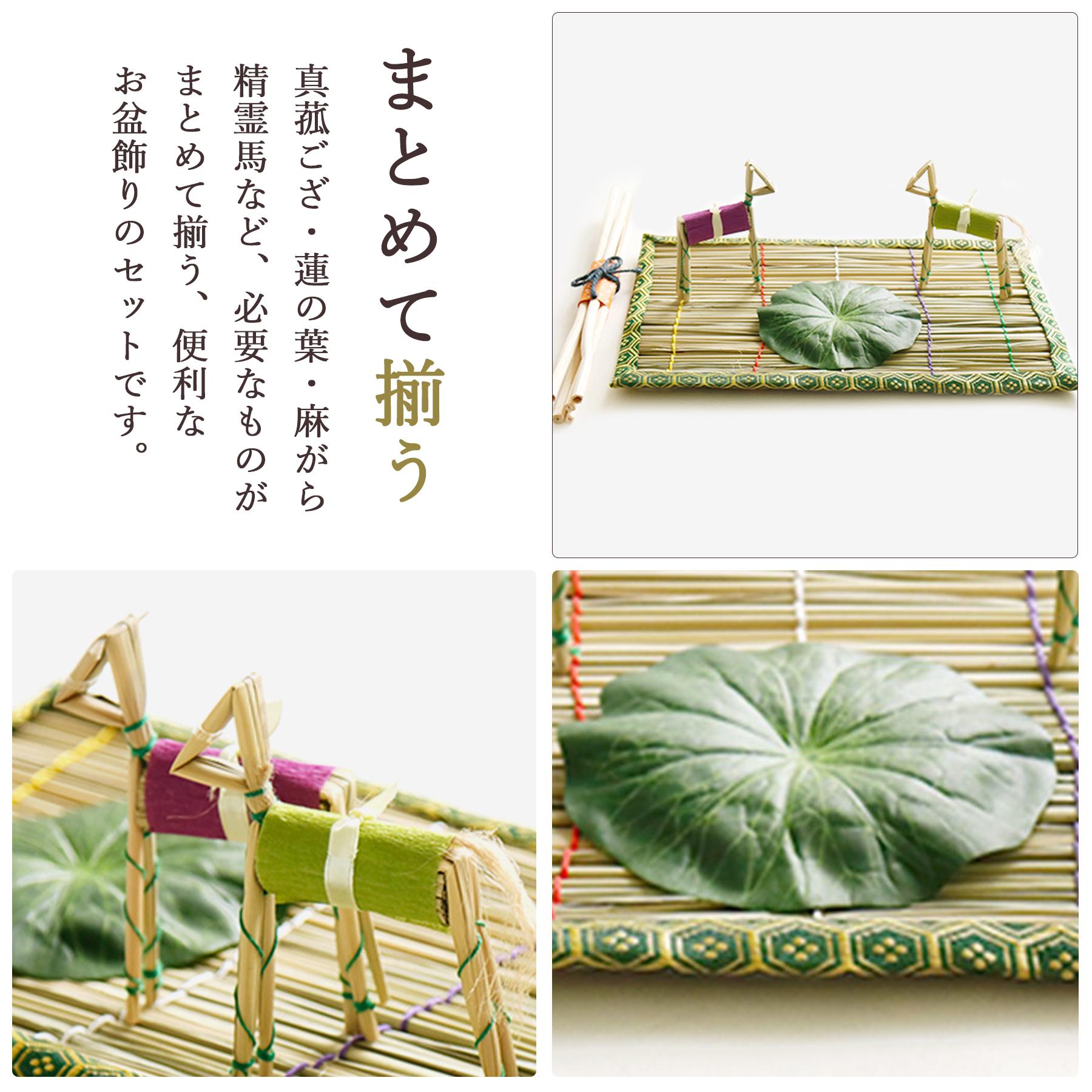 盆提灯